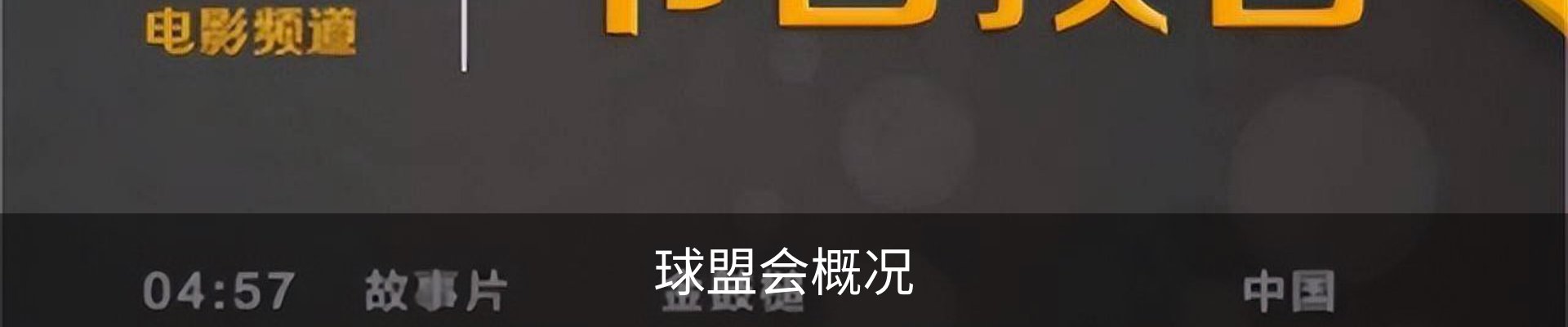 球盟会概况